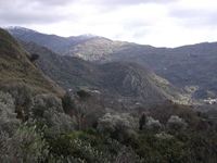 cantara gurne23122011 066
